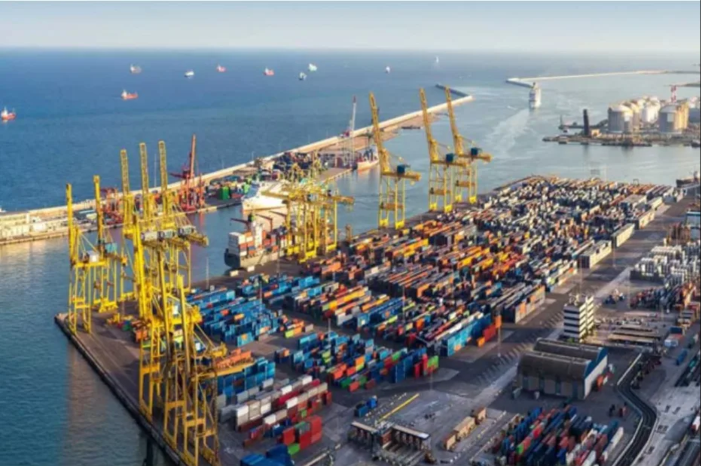 Inisiatif Lingkungan di Kamboja: Dari Komunitas ke Pemerintah