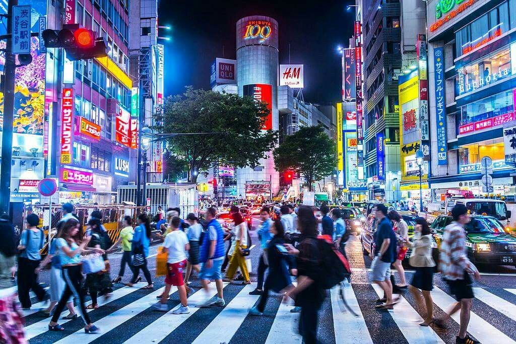 Panduan Lengkap Cara Berbelanja di Jepang: Dari Daiso hingga Don Quijote